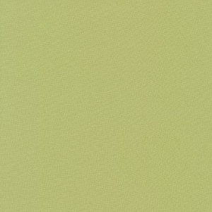 Tarragon Kona Solid by Robert Kaufman