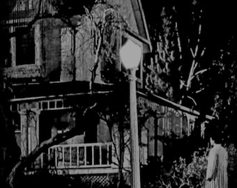 May include: A monochrome image of a house at night, illuminated by a street lamp. A person stands near the lamp post, facing the house. The house features a porch and a tree in front of it, creating a spooky atmosphere.