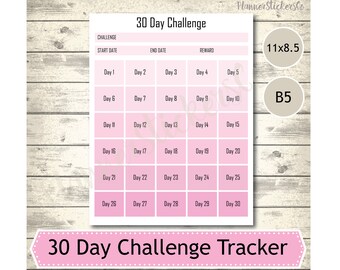 30 Day Challenge Tracker: Ombre Dusty Rose Planner Insert (Digital Download)