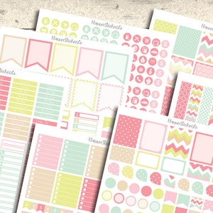 Colorful Monthly Planner Stickers: Erin Condren Compatible (Digital Download)