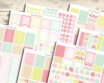 Colorful Monthly Planner Stickers: Erin Condren Compatible (Digital Download)