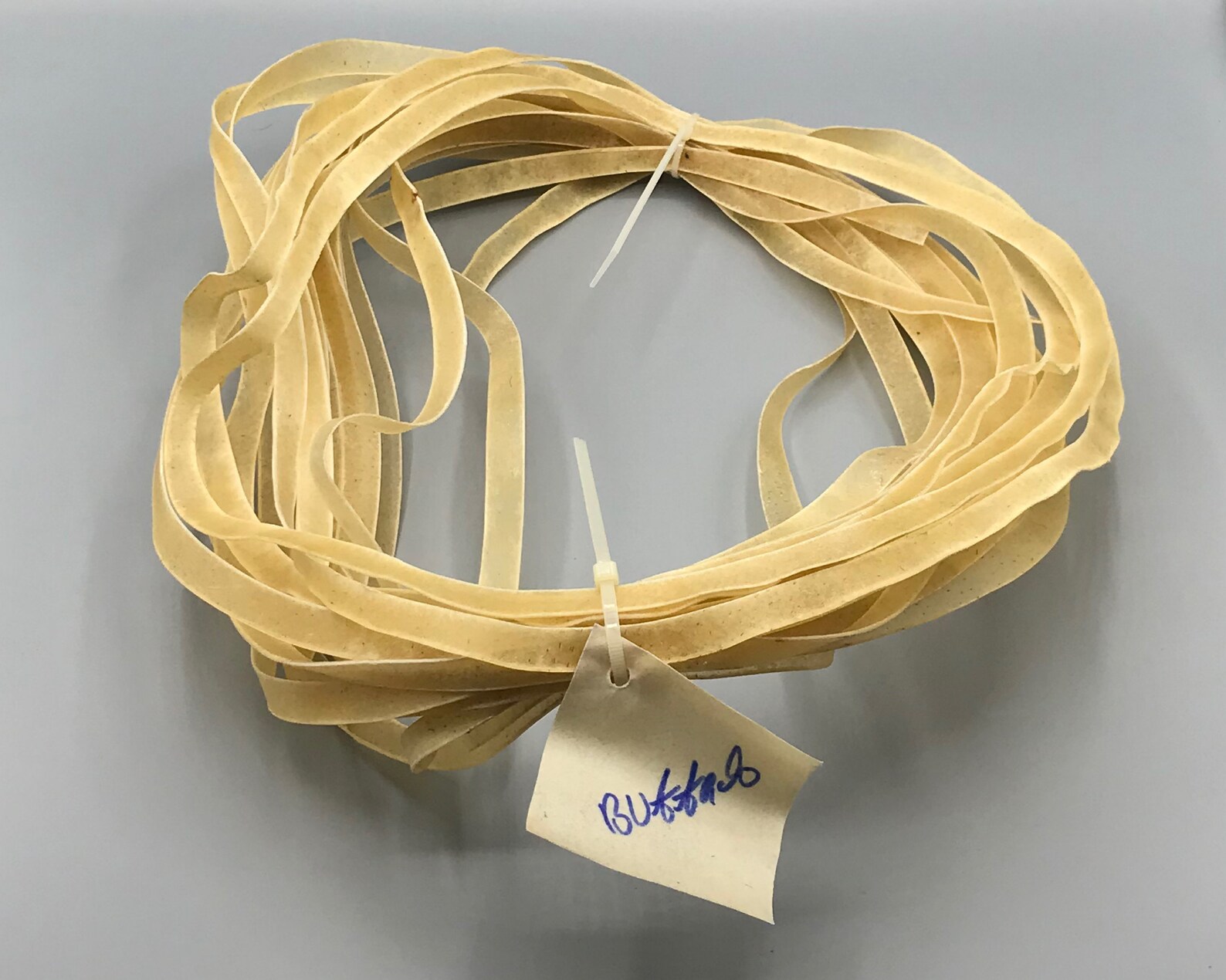 Natural Rawhide Lace 5060 Ft Cow Goat and Water Buffalo... Etsy