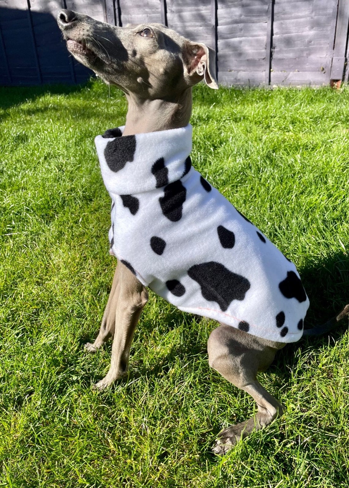 SEWING PATTERN for Italian Greyhound / Whippet Sleeveless Vest Etsy