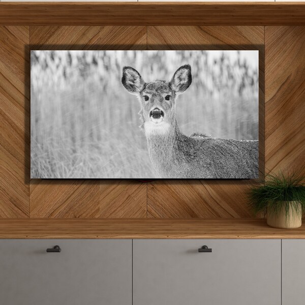 Black and White Deer Art Samsung Frame TV Digital Art, Red Cow Frame TV Art, Instant Download, Samsung Art TV, Digital Download