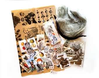 in(DEX) ed Seeds & Roots Kit - Mixed Media Supplies