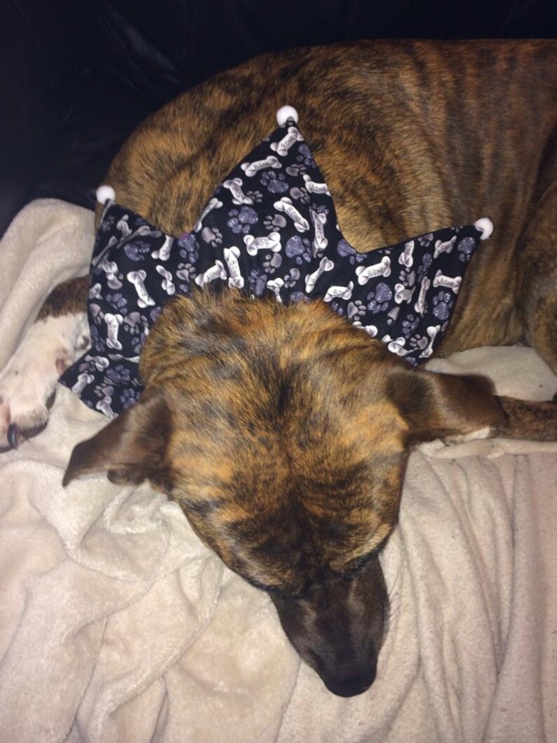 Bone Dog Scarf