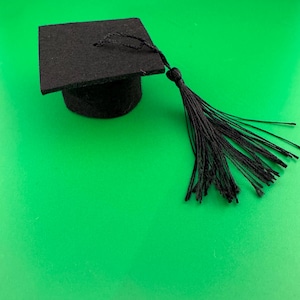 Miniatur Doktorhut aus Filz: Cake Topper, Puppenzubehör