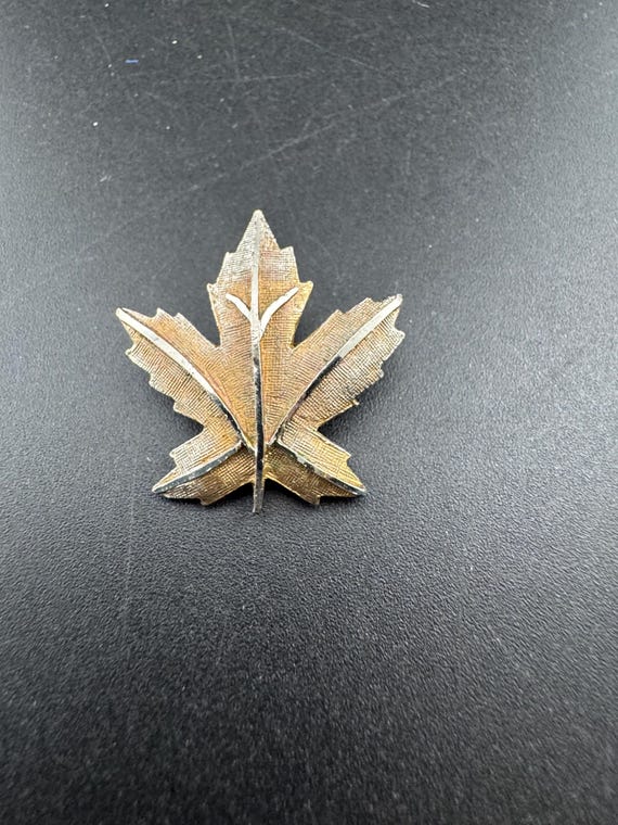 Signed Coro silver maple leaf brooch , Canadian 3… - image 5