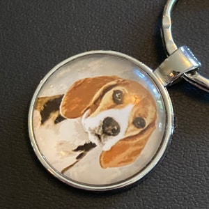 Tricolour Beagle dog silver tone keyring glass cabochon