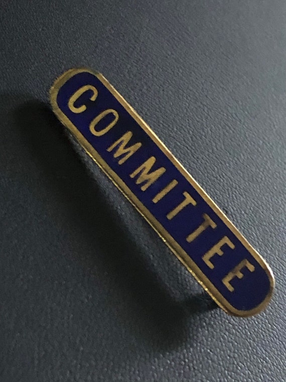 School Council Blue Enamel & Gilt Shaped Pin Badge School Council Blue Enamel & Gilt Shaped Pin Badge