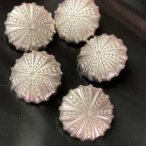 May include: Five silver-toned buttons with a raised, starburst design. Each button is circular with a raised centre and a textured, radial pattern.