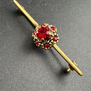 以下が含まれることがあります： 中央に赤いラインストーンのクラスターが付いた、ヴィンテージのゴールドトーンのバーピン。ピンは、中央の赤い石の周りに装飾的な花のようなデザインが施された、長く細いバーが特徴です。ピンは暗い背景にセットされています。