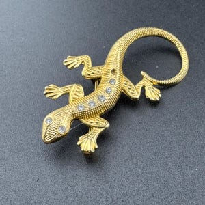 Könnte beinhalten: Eine goldfarbene Brosche in Form einer Eidechse mit klaren Strasssteinen. Die Eidechse ist zusammengerollt, wobei ihr Schwanz einen Kreis bildet.