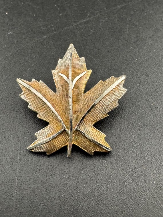 Signed Coro silver maple leaf brooch , Canadian 3… - image 4