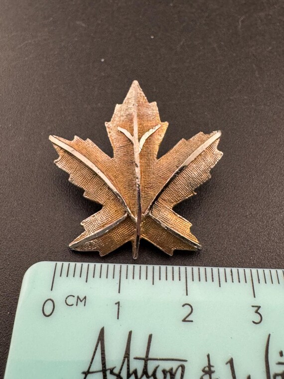 Signed Coro silver maple leaf brooch , Canadian 3… - image 6