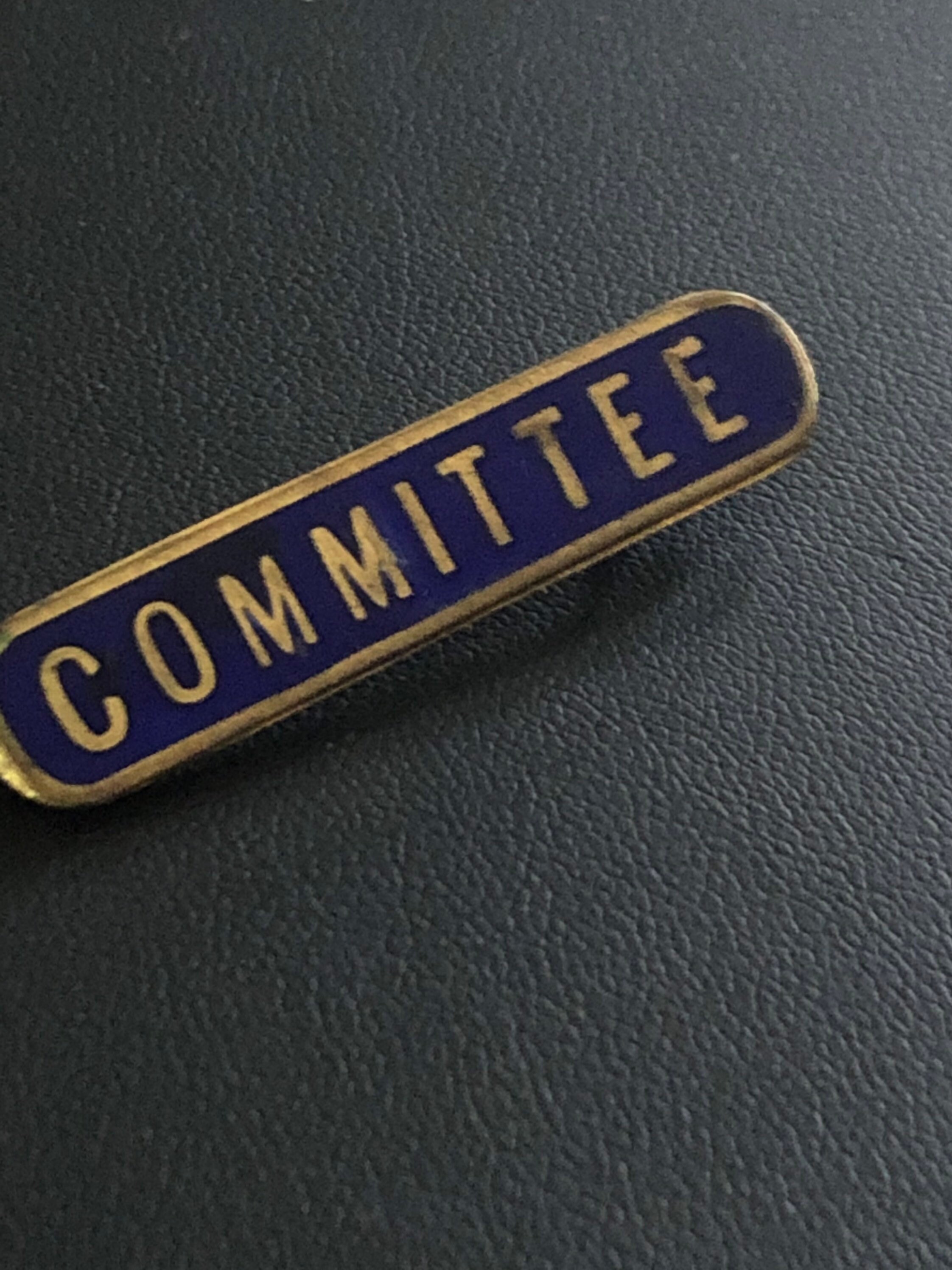 School Council Blue Enamel & Gilt Shaped Pin Badge School Council Blue Enamel & Gilt Shaped Pin Badge