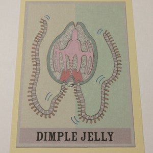 Dimple Jelly - Limited Print Artist Trading Card
