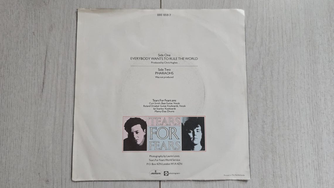 Tears For Fears Everybody Wants To Rule The World - Vinyl Record 7" Single, 45 RPM, Original 1985 Vintage, foto 3 di 5