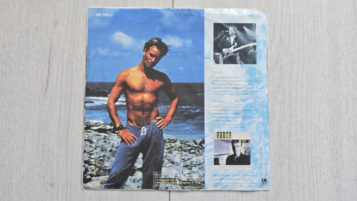 Sting Love Is The Seventh Wave - Vinyl Record 7" Single, 45 RPM, Original 1985 Vintage, foto 3 di 5