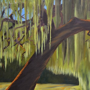 Southern Moss at Alisal