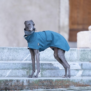 Winter Protection Greyhound Coat Premium Walking Gear Softshell Construction Weather Proof Design Custom Embroidery Option Reflective Safety Elements High Neck Coverage Harness Opening Style Fleece Lined Interior Adjustable Fit Outdoor Wear