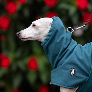 Pu&ograve; includere: Un maglione per cani color verde acqua con cappuccio a collo alto e una piccola toppa circolare con il logo di una silhouette di cane bianca. Il capo &egrave; indossato da un cane dal pelo chiaro con un sottile guinzaglio nero fissato a un anello.