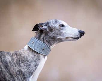Blue Snake Martingale Collar