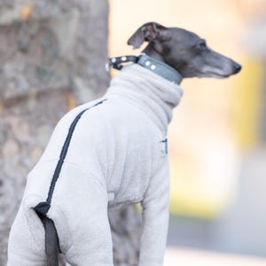 onesi Italian greyhound warm iggy jumpsuit soft jumpsuit whippet pajama iggy overall whippet jumper greyhound jumpsuit iggy sweater COZY