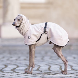 Whippet winter coat iggy warm coat italian greyhound clothing whippet coat galgo clothes dog gift for dog lovers WINTER coat CHANGABLE belt