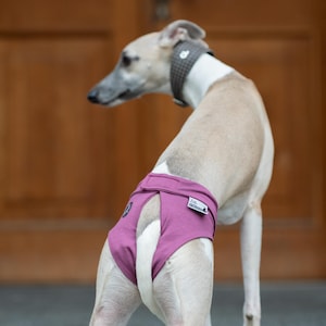 Dog Heat Diaper Washable Bamboo Female Canine Season Protection Reusable Hound Panties Whippet Greyhound Breed Adjustable Sanitary Menstrual