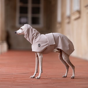 Waterproof Windproof Sighthound Coat with Detachable Exchangeable Belts Winter Weather Shield Fitted Design Secure Neck Coverage Multiple Size Options Performance Outdoor Wear Warm Comfort Layer Quality Construction