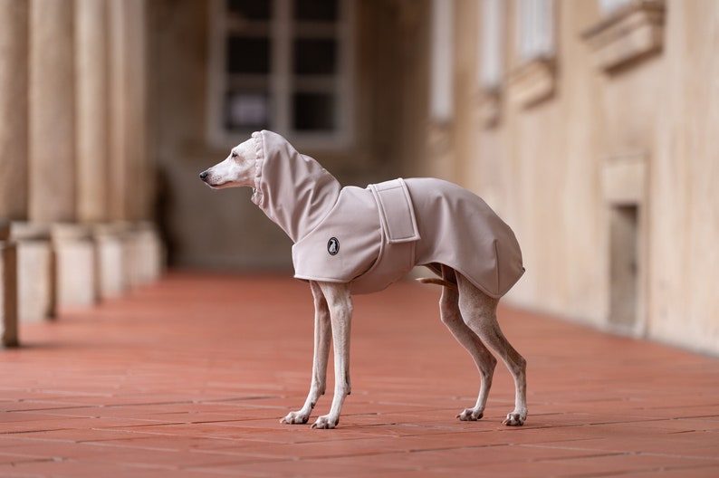 Waterproof Windproof Sighthound Coat with Detachable Exchangeable Belts Winter Weather Shield Fitted Design Secure Neck Coverage Multiple Size Options Performance Outdoor Wear Warm Comfort Layer Quality Construction