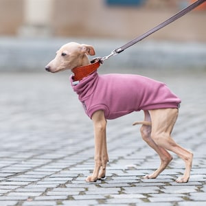 Whippet Warm Pullover Soft Sweater Greyhound Clothing Thermal Protection Lightweight Hound Cozy Outfit Stretchy Jumper Winter Wear Comfortable Garment Italian Greyhound Puppy Vest Iggy Apparel Dog Sweatshirt Cold Weather Essential Pet