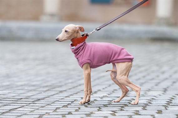 Puppy Whippet Warm Pullover Soft Sweater Italian Greyhound Clothing Protection Iggy Puppy Cozy Outfit Stretchy Jumper Winter Wear Pullover