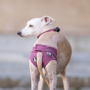 Whippet Pants Whippet Pants