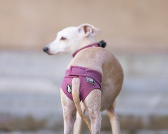 Heat Pants for Dogs Seasonal Pants Heat Trousers for Dogs Washable Heat Pants for Whippet Diapers for Dogs Heat Pants for Italian Greyhound Etsy
