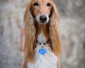 ID tag, peronalized ID tag, ID tag for dogs