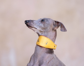 Leather Set, Collar Martingale Sunshine with matching leash,Iggy collar, italian greyhound collar, saluki collar