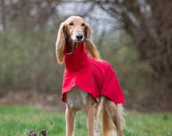 Waterproof Dog Jacket for Whippet Rain Coat for Greyhound Rain Jacket with Protection Dog Wear for Walking Companion Gear for Sighthound