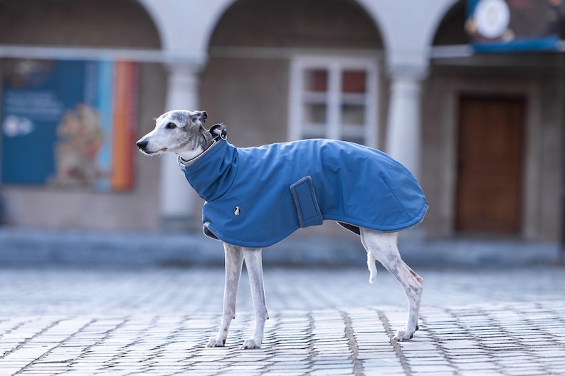 Whippet Specific Clothing Winter Coat Solution Double Layer Warmth Fleece Lined Interior Waterproof Exterior Protection Windproof Design Technology Reflective Safety Elements Cold Weather Essential Dog Walking Comfort Breathable Fabric