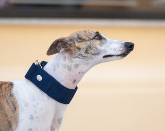 Blue Adjustable Collar