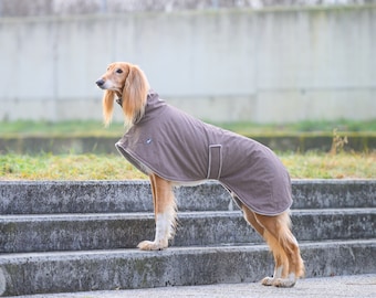 Lux coat SM greyhound coats, whippet coats, iggy coats,italiangreyhound coats