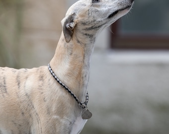 ID Tag Collar Your Design