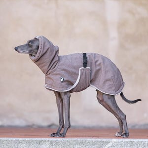 Könnte beinhalten: Ein grauer italienischer Windhund trägt einen taupefarbenen Mantel mit Kapuze. Der Mantel hat einen hohen Kragen, einen schwarzen Kunststoff-Schnallenverschluss am Rücken und einen hellen Saum an den Kanten. Ein kleines Logo ist seitlich sichtbar.