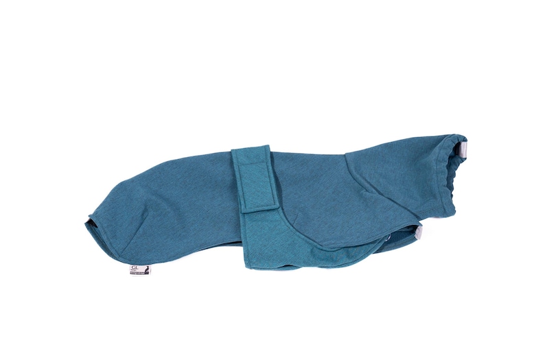 Pu&ograve; includere: Un cappotto per cani color verde acqua caratterizzato da un colletto alto, una sezione centrale avvolgente con cinturino a strappo e una piccola etichetta rettangolare del marchio fissata sull'orlo inferiore dell'indumento.