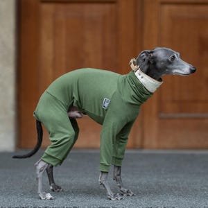 Greyhound Pajama Bodysuit Winter Protection Onesie Whippet Indoor Wear Thin Fabric Stretch Comfy Clothing Design Full Coverage Galgo Overall