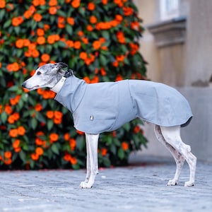 May include: A light gray dog coat with a high collar and a small logo patch on the side. The garment is designed to cover the torso and neck, featuring a smooth, solid-colored fabric construction that fits snugly around the body of the dog.