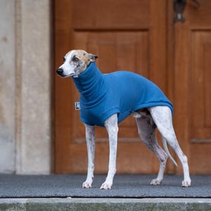 Greyhound Clothing Collection Whippet Warm Pullover Soft Sweater Thermal Protection Year Round Wear Lightweight Hound Outfit Stretchy Material Comfortable Design Sighthound Wardrobe Essential Puppy Vest Iggy Apparel Cold Weather Protection