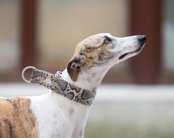 Gray Python Martingale Collar