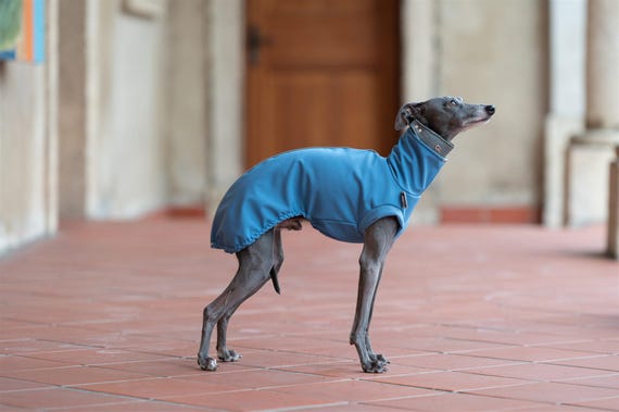 Rain Coat Dog Cold Weather Gear Waterproof Dog Coat For Winter